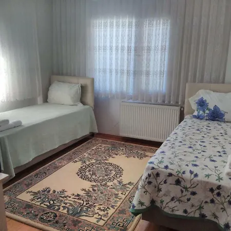 Villa Yesil Sapanca