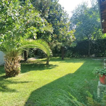 Yesil Sapanca